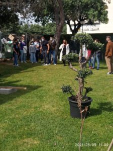 101 homenaje con olivo