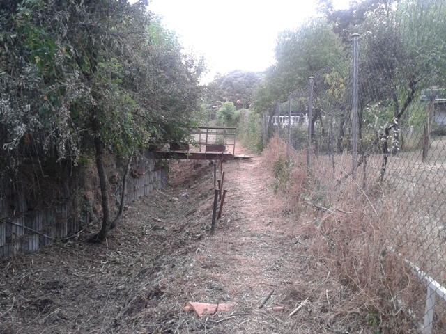 arroyos2