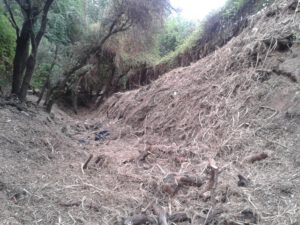 arroyos3