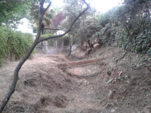 arroyos4