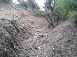 arroyos6