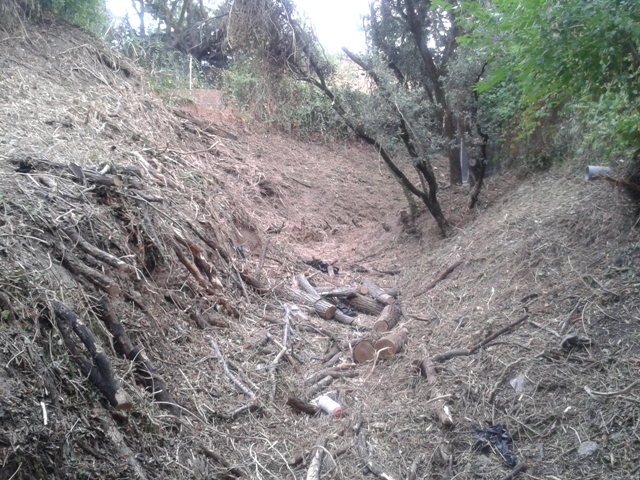 arroyos6