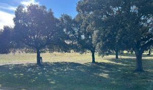 0f6c7ab0 c946 470f abb1 0656f2bd45b5