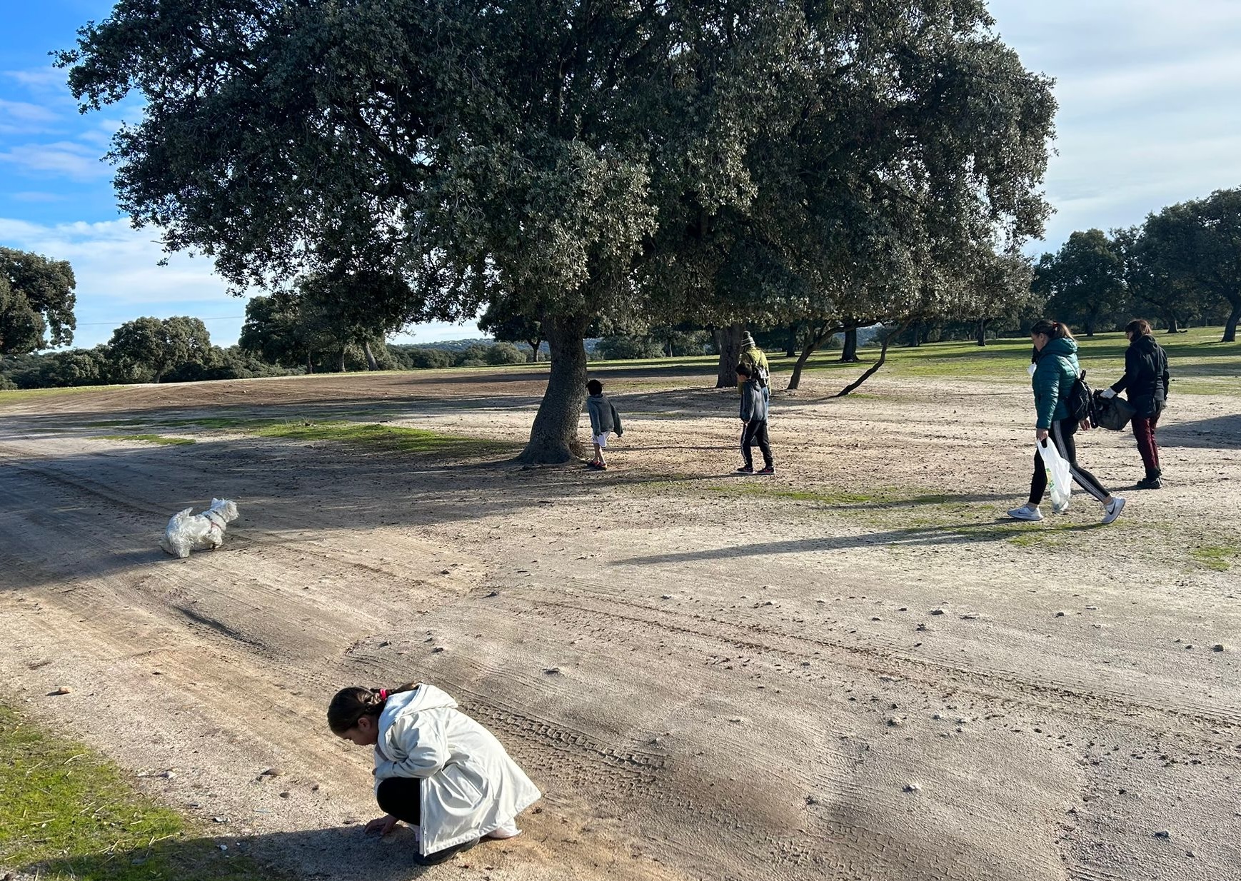 61cedab9 24a0 4023 84e8 e6ffcd28c0e1