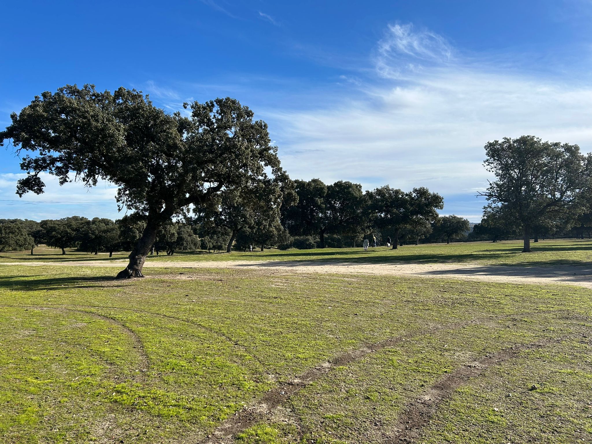 6a17fc81 4586 4dc3 a5ed 845e1bf6ae82