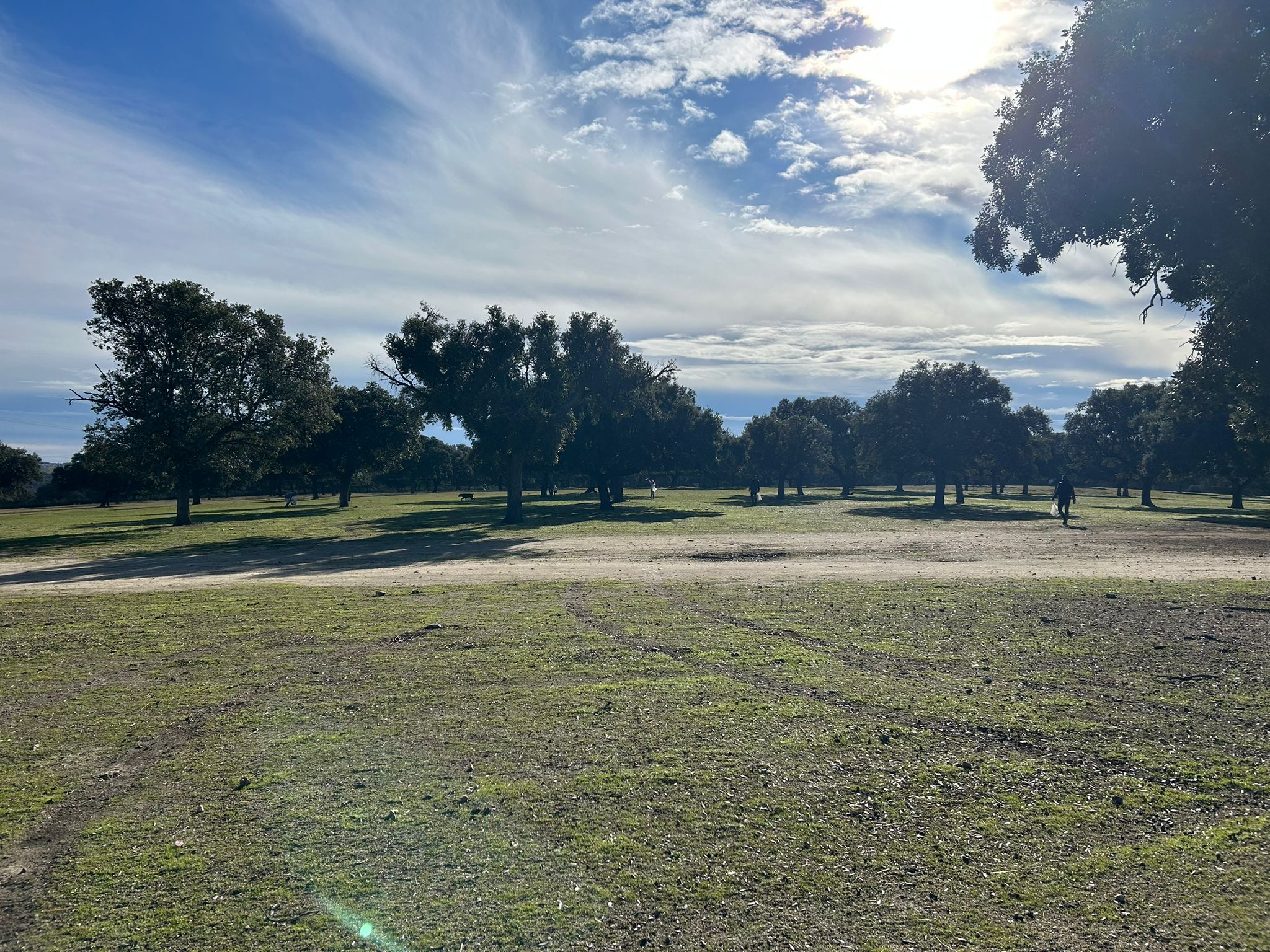 a01e0833 2af1 4f6e ac48 da71dd80004d