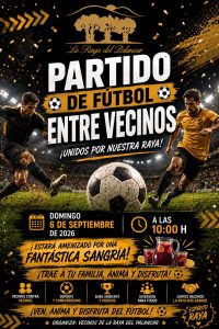 Partido de futbol